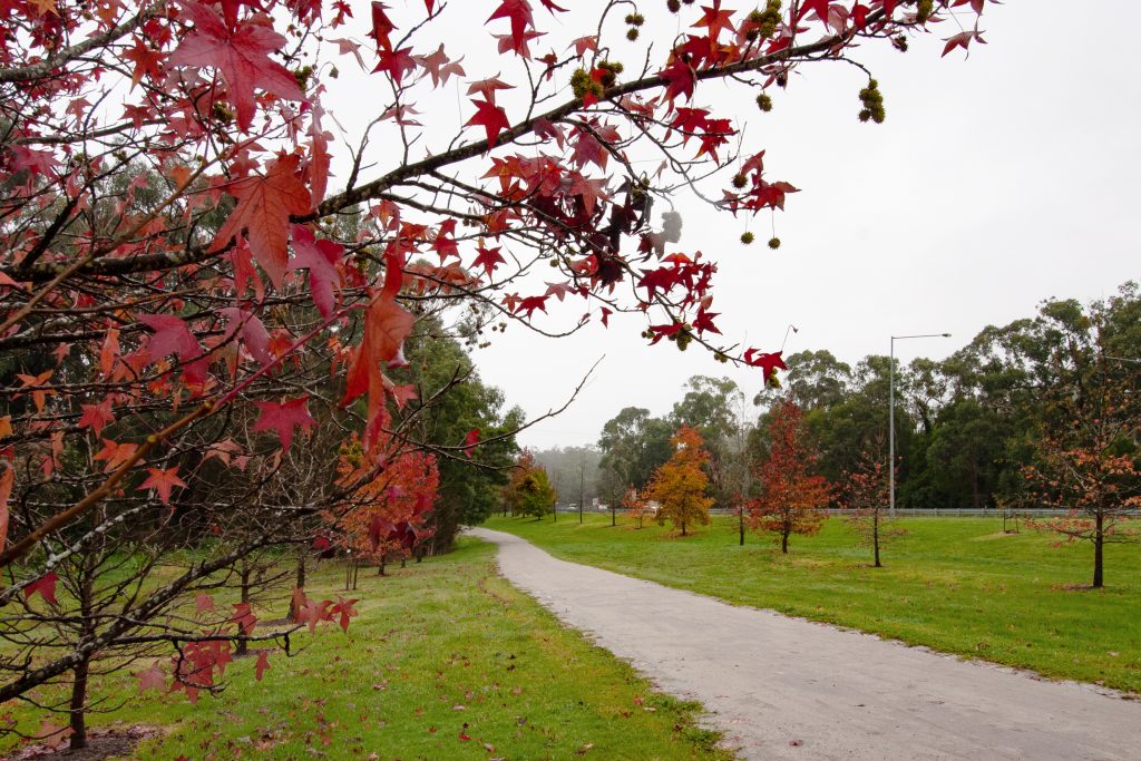 Koonwarra - Rail Trail